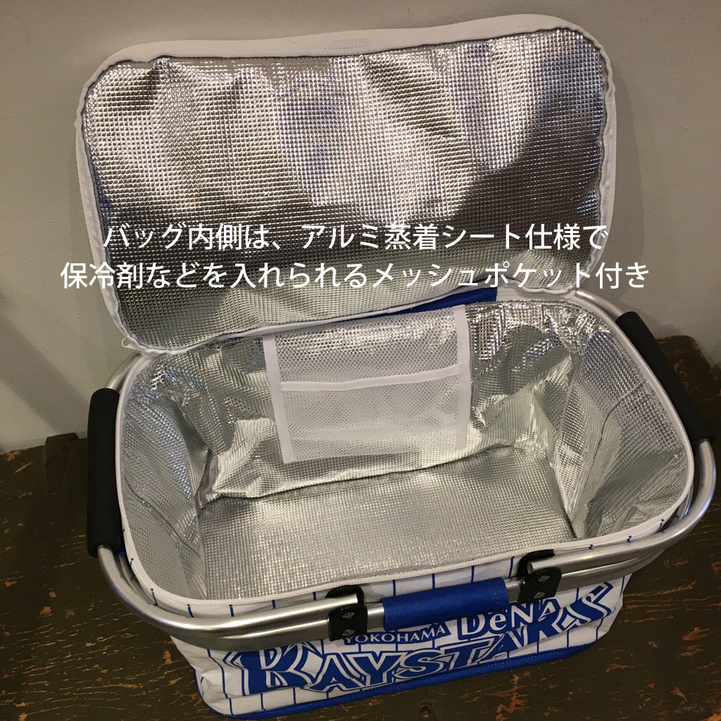 BS-001 Picnic Bag