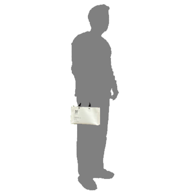 M25A19 Bag In Mini Tote